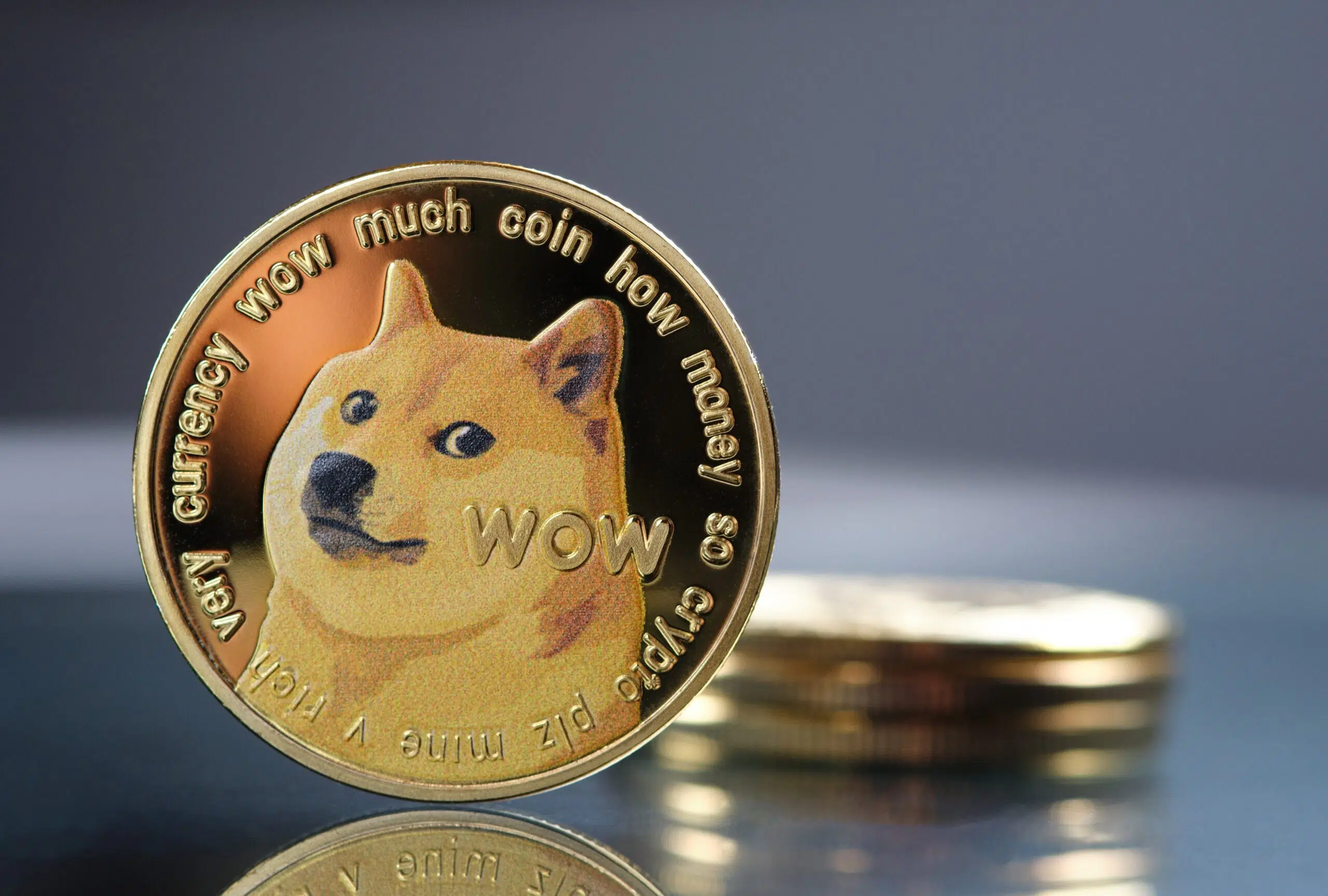 Dogecoin à 0,16$ : Risque-t-il de dégringoler malgré l'envolée du Bitcoin ?