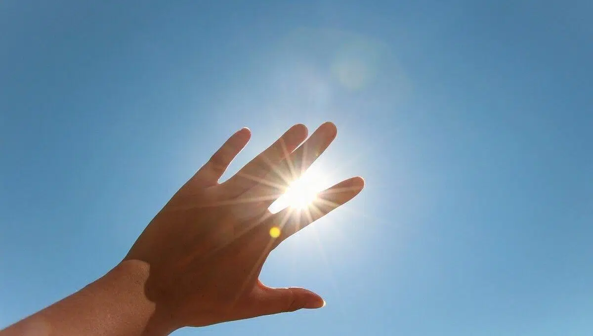 29 juillet 2024 : La France en alerte canicule aujourd'hui