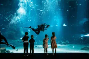 Nausicaá : L’aquarium fantastique de Boulogne-sur-Mer